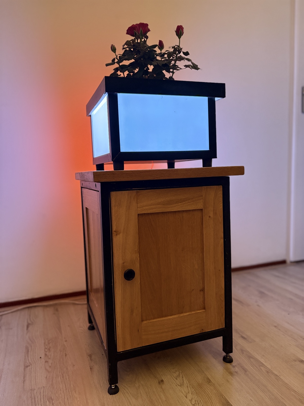 Plant in Lamp met rozen